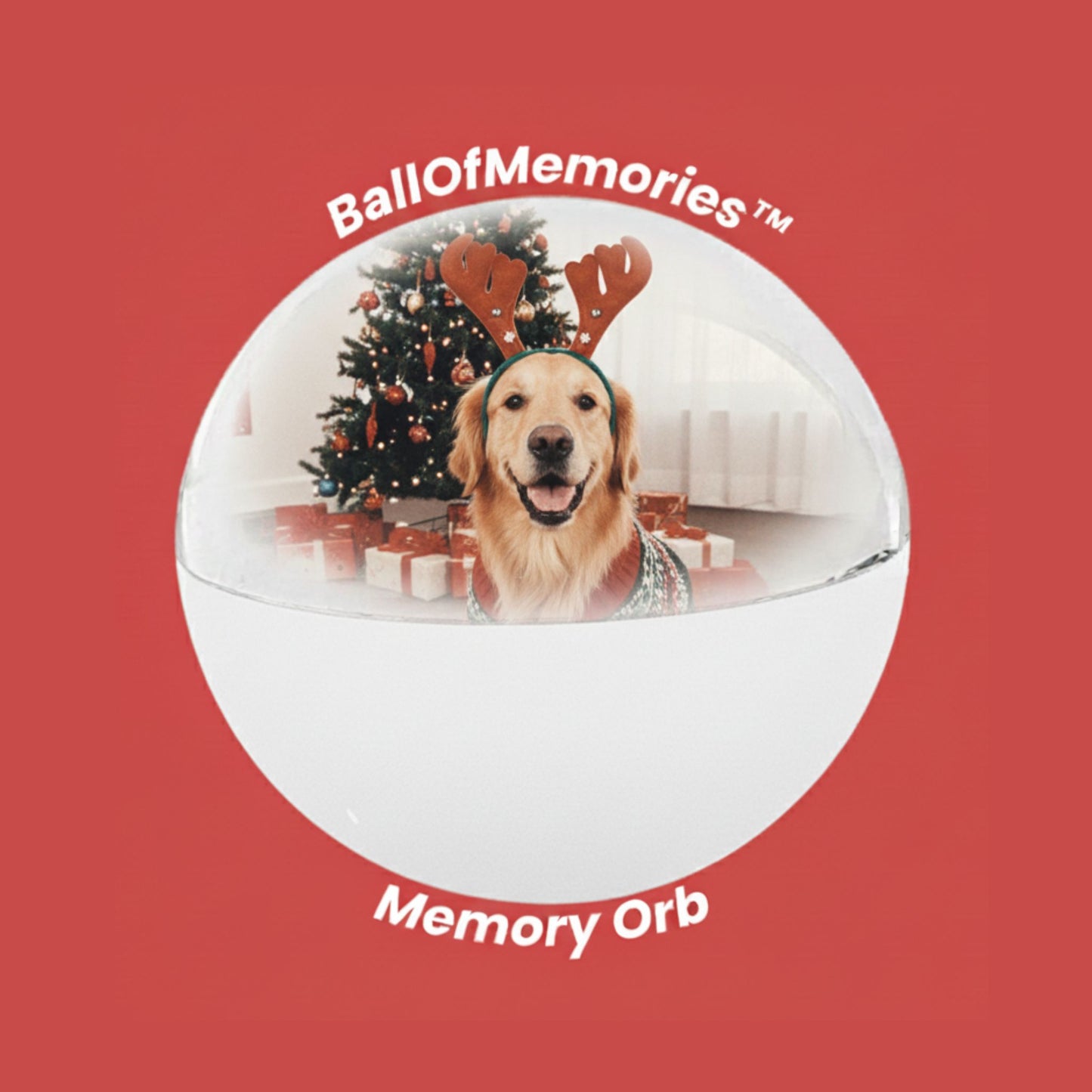 Memory Orb™